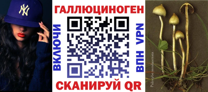 Псилоцибиновые грибы Psilocybine cubensis  наркошоп  это формула  Болгар 